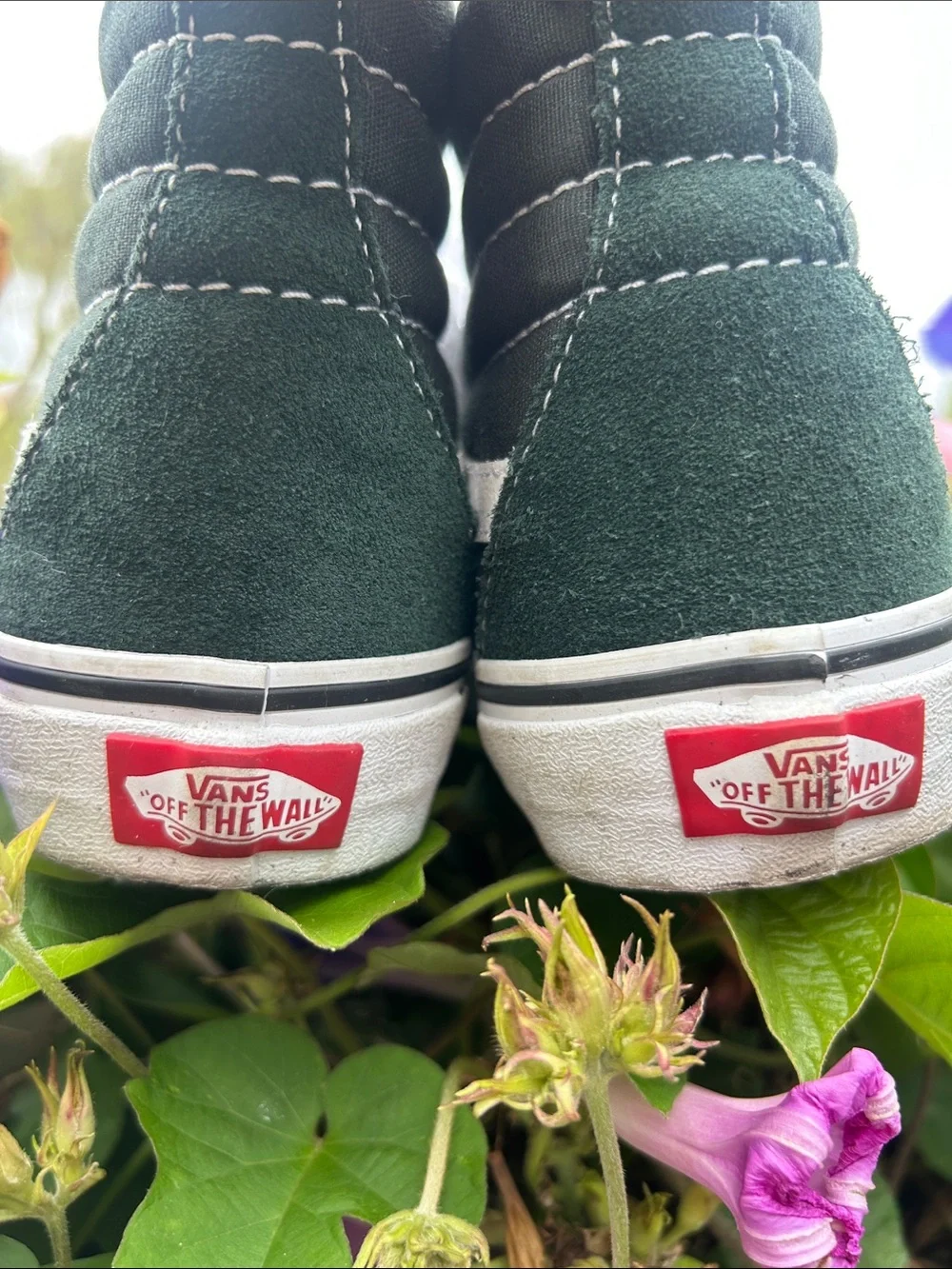 Vans Black and White Sk8-Hi Sneakers - Picture 4 of 5